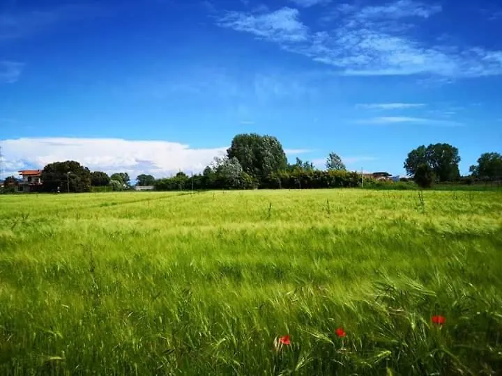 Flori'S Bed & Breakfast Viareggio
